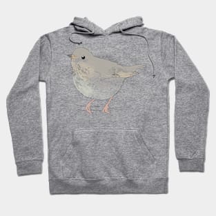 Swansons thrush Hoodie